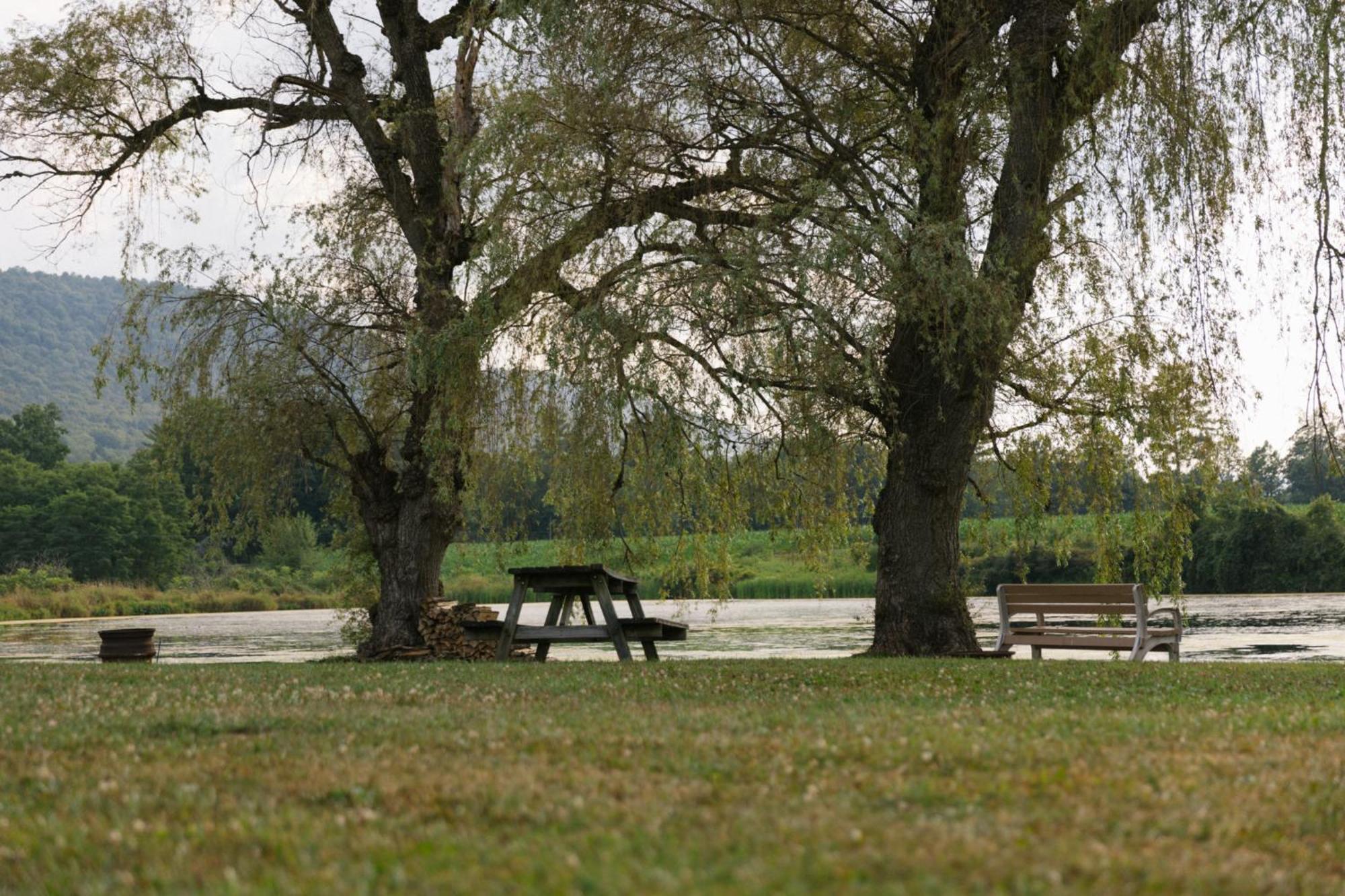 Route 6 Campground Gaines Oda fotoğraf